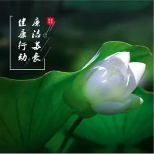 1651735655209420.jpg 健康產(chǎn)業(yè)抱枕2_副本.jpg
