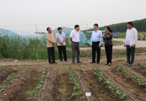 1685513788165097.jpg 1_副本.jpg